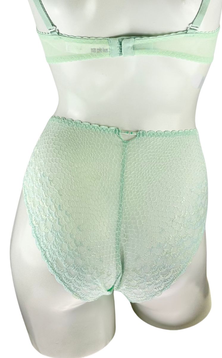 Brief
