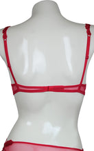 Load image into Gallery viewer, Push-Up Bra