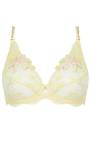 Wire Triangle Bra